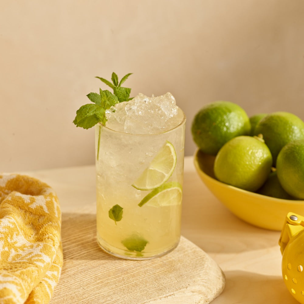 Non-Alcoholic Mojito Recipe