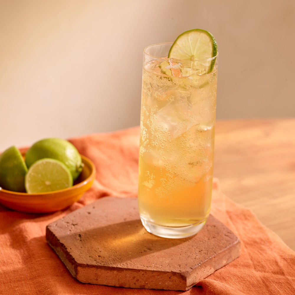 Gin and Ginger Ale